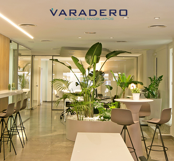 VARADERO ASESORES INMOBILIARIOS